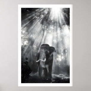 Monochrome Elephant Wall Art, Nature Photo (Living Poster