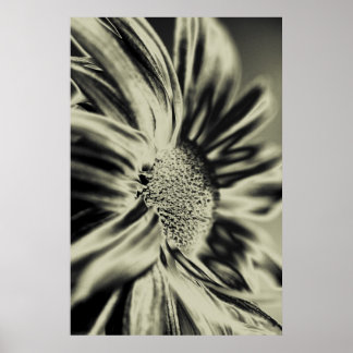 Monochrome flower poster