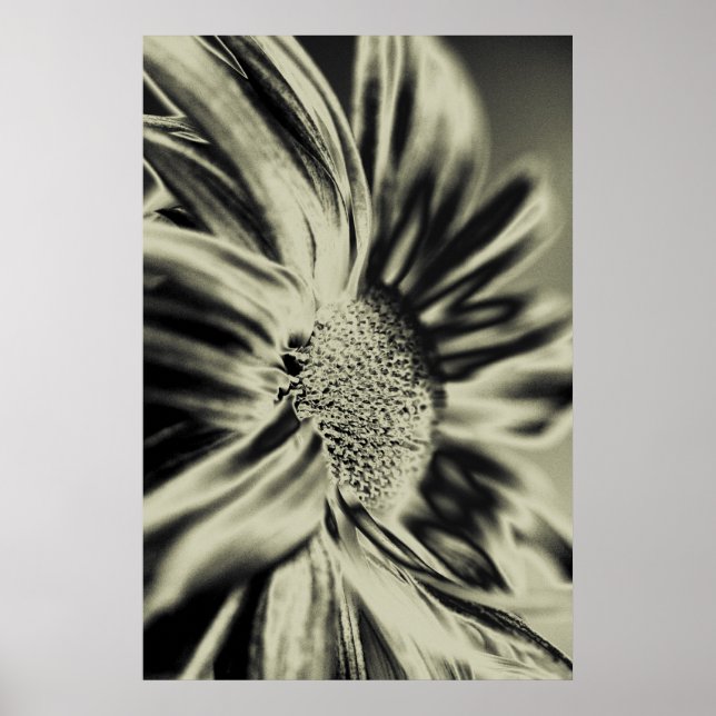 Monochrome flower poster (Front)