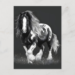 Monochrome Gypsy Cob Horse Postcard