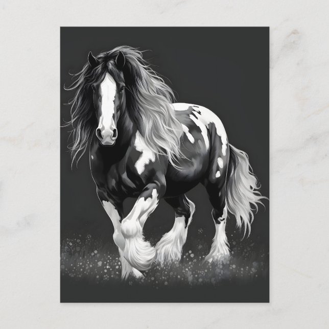 Monochrome Gypsy Cob Horse Postcard (Front)