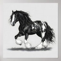 Monochrome Gypsy Vanner Horse