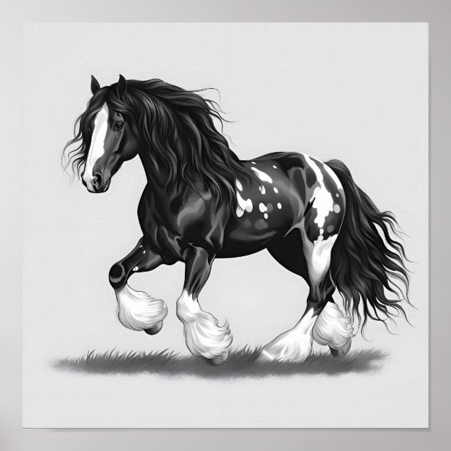 Monochrome Gypsy Vanner Horse Poster (Front)