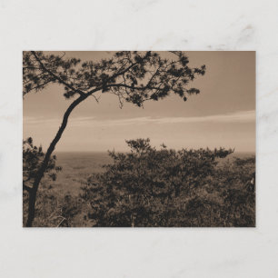 Monochrome Landscape photograph postcard
