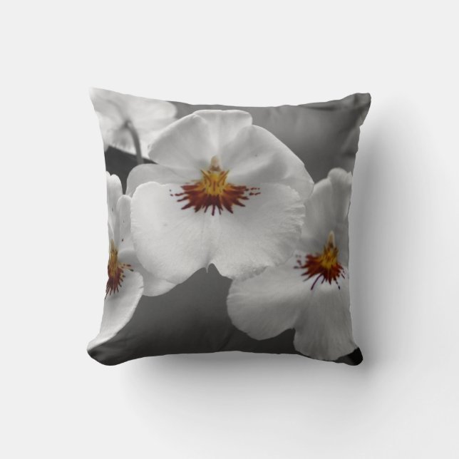 Monochrome Orchids  American MoJo Pillow (Front)