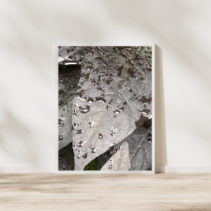 Monochrome Plant Photography Poster