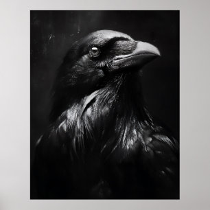 Monochrome Raven Portrait Poster