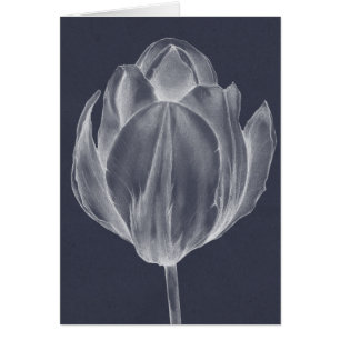 Monochrome Tulip I