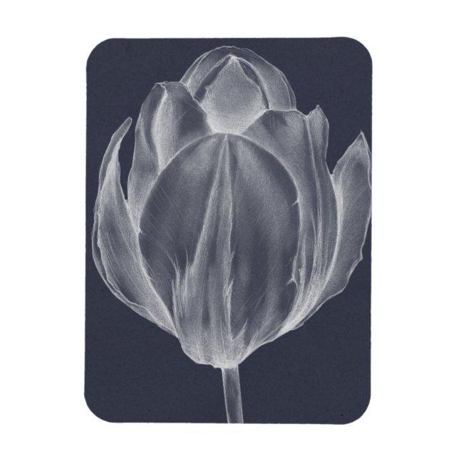 Monochrome Tulip I Magnet (Vertical)