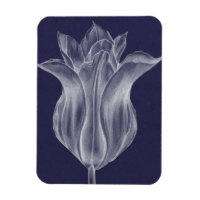 Monochrome Tulip III