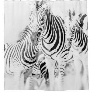 monochrome zebra group portrait, South African Nat Shower Curtain