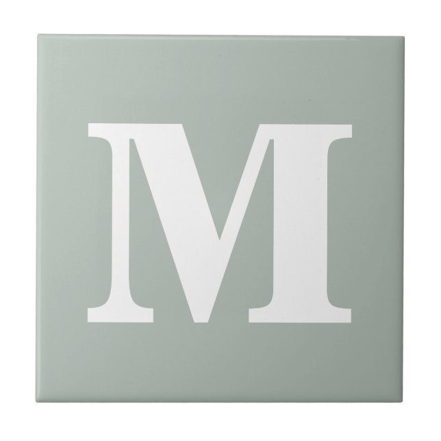 Monogram Ash Grey Contemporary Complementary Colou Tile (Front)