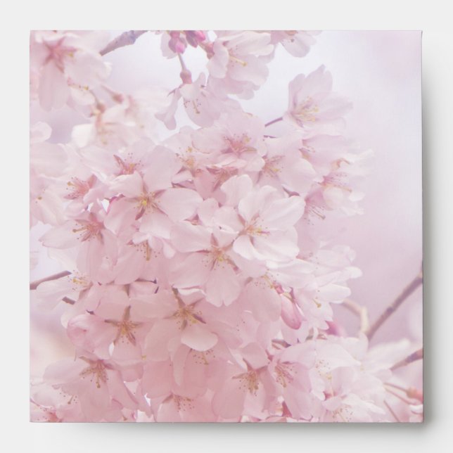 Monogram Bridesmaid Pale Pink Cherry Blossoms Envelopes (Front)