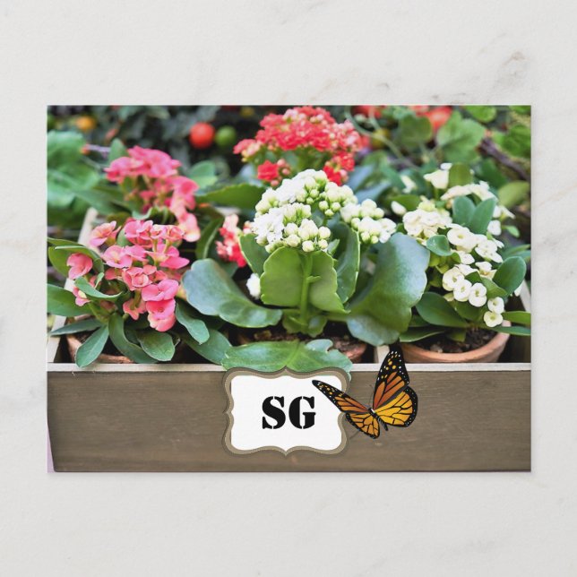 Monogram Container Flower Garden Postcard (Front)