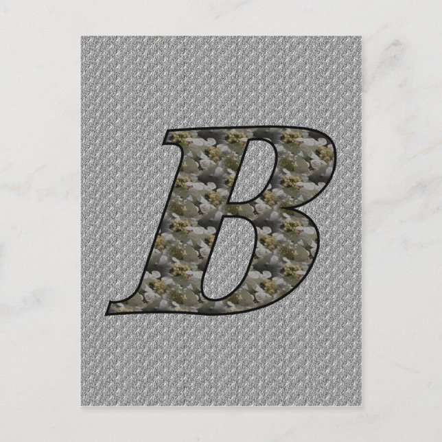 Monogram Initial B Hydrangea Flowers Postcard (Front)