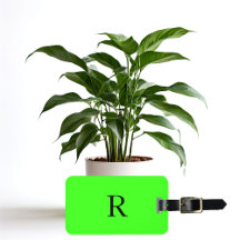 Monogram Initials Name Templates Neon Green Colour