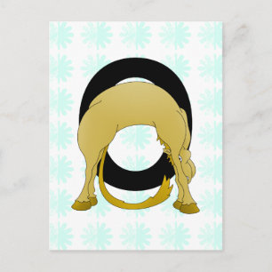 Monogram O Flexible Pony Personalised Postcard