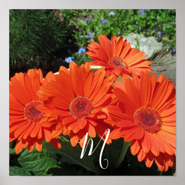 Monogram Orange Floral Photography Poster (Front)
