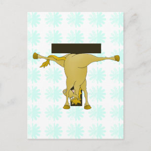 Monogram T Pony Horse Personalised Postcard