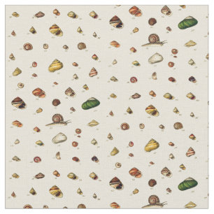 Monographs of Genera of Shells Fabric