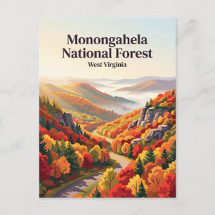 Monongahela National Forest USA Postcard