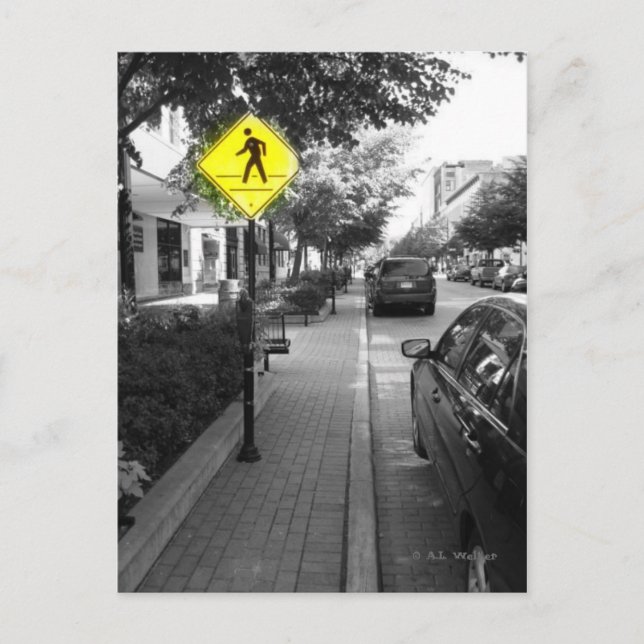 Monroe Street Postcard (Front)