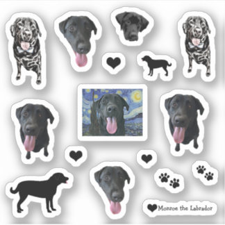 Monroe the Labrador Funny Dog 
