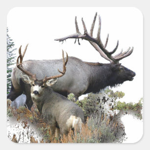 Monster bull trophy buck square sticker
