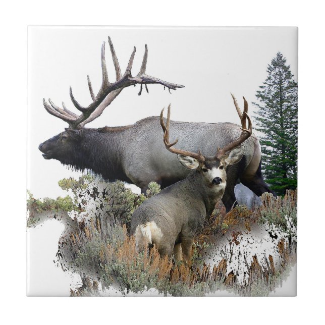Monster bull trophy buck tile (Front)
