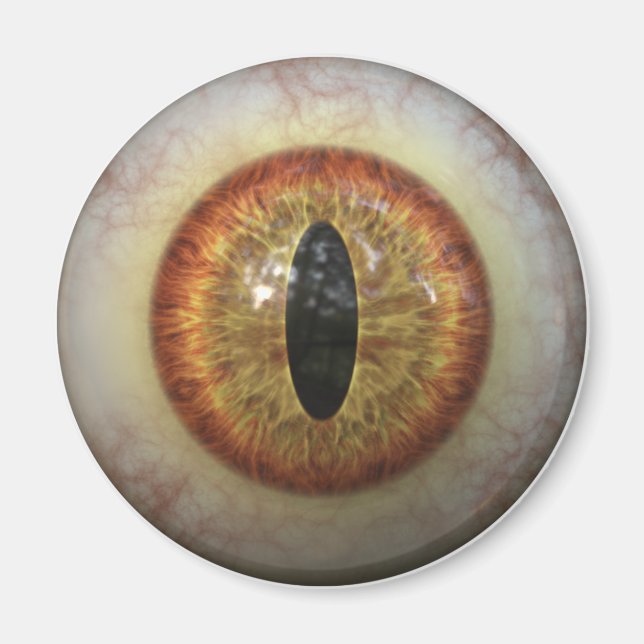 Monster Eye Magnet (Front)