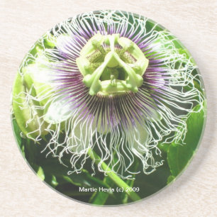 Monster Flower - Coaster