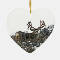Monster mule deer 2