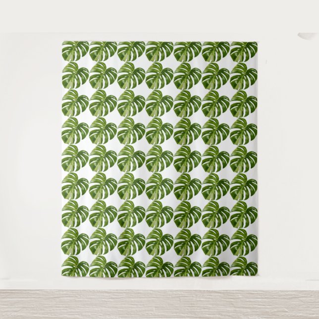 Monstera Albo Tapestry — Large Rare Variegation (Front)