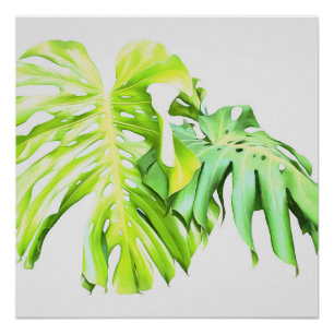 Monstera Artistic Leaf Study  Poster