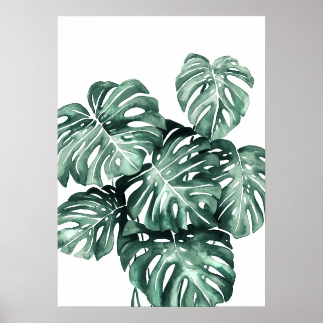Monstera Deliciosa Leaves Poster (Front)