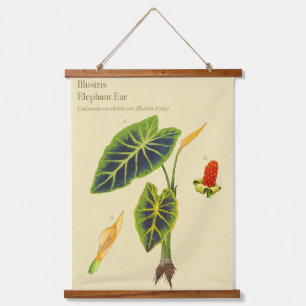 Monstera Elephant Ear Botanical Wall Tapestry 