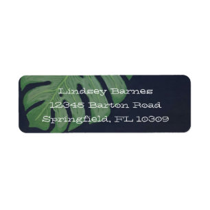 Monstera leaf