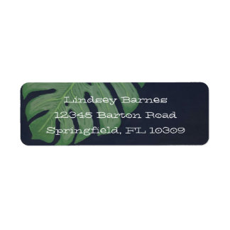 Monstera leaf