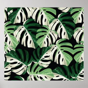 Monstera Leaf Exotic Black Pattern Poster