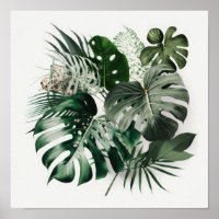 Monstera Leaves Art Print Poster