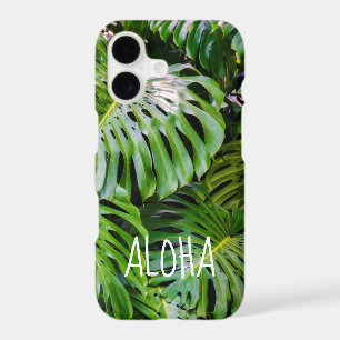 Monstera Leaves, Limahuli Gardens, Kauai, Hawaii
