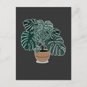 Monstera Plant Beautiful Houseplant Postcard