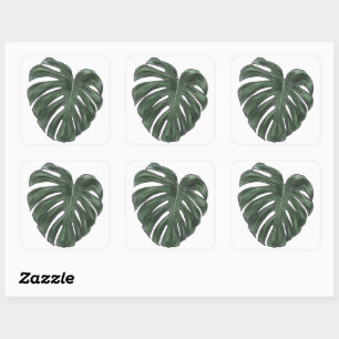 Monstera stickers