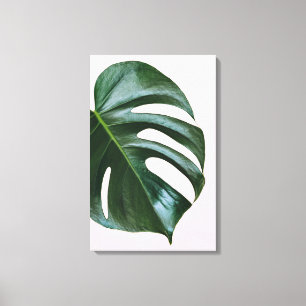 Monstera Tropical Leaf Canvas Print