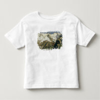 Mont Blanc Mountains, 1897