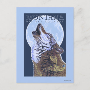 Montana -- Big Sky CountryHowling Wolf Postcard