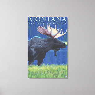 Montana -- Big Sky CountryMoose in Moonlight Canvas Print