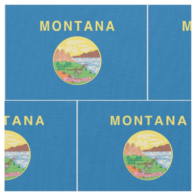 MONTANA Flag - Fabric (Close Up)