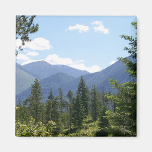 Montana Forest and Mountains Scenic View Magnet