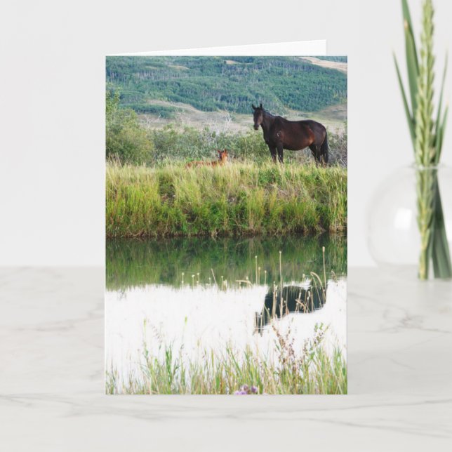 Montana Horses Card (Front)